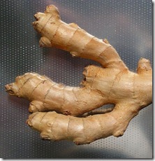 http://commons.wikimedia.org/wiki/File:Zingiber_officinale20090901_02.jpg