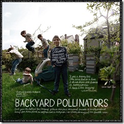 backyardpollinators