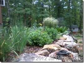 Our new garden. © 2012 Jill Henderson