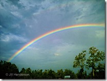Rainbow after the storm. © Jill Henderson