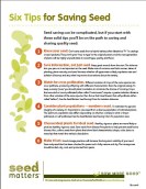 six tips for saving seed - by seed matters
