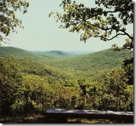 2002 - 5 - Caney Mountain Herb walk - vistas