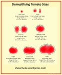 Demystifying-Tomato-Sizes-Poster.jpg