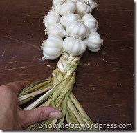 2014 6-30 How to braid garlic Step (11)